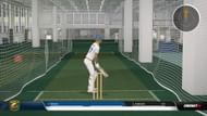 In the nets (Image via Big Ant Studios)